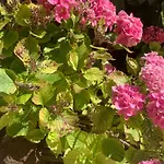 Сasa de vacaciones Le Paradis - Frajou *