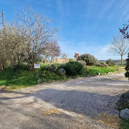 Le Paradis Frajou, Very Beautiful 200m2 Swimming Pool And Style Saint-Frajou