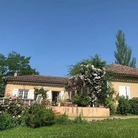 Le Paradis Frajou, Very Beautiful 200m2 Swimming Pool And Style