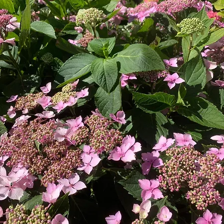 בית נופש Villa Le Paradis - Saint Frajou