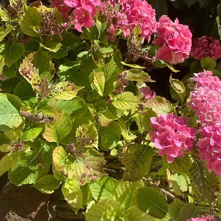 Casa de Férias Le Paradis Frajou, Very Beautiful 200m2 Swimming Pool And Style *