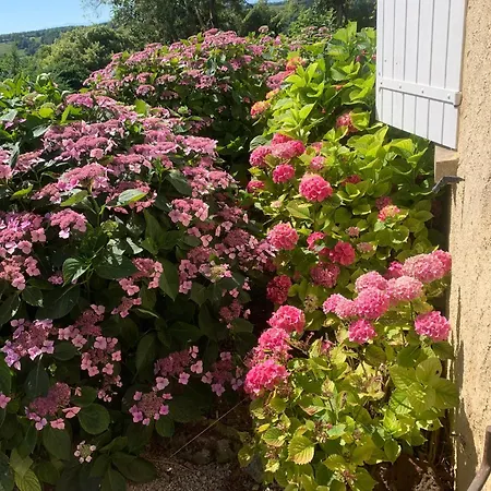 Villa Le Paradis - Saint Frajou * Saint-Frajou