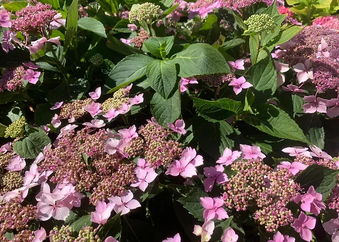 Σπίτι διακοπών Le Paradis Frajou, Very Beautiful 200m2 Swimming Pool And Style