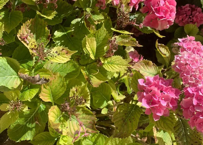 בית נופש Villa Le Paradis - Saint Frajou *