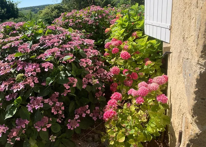 Villa Le Paradis - Saint Frajou * Saint-Frajou